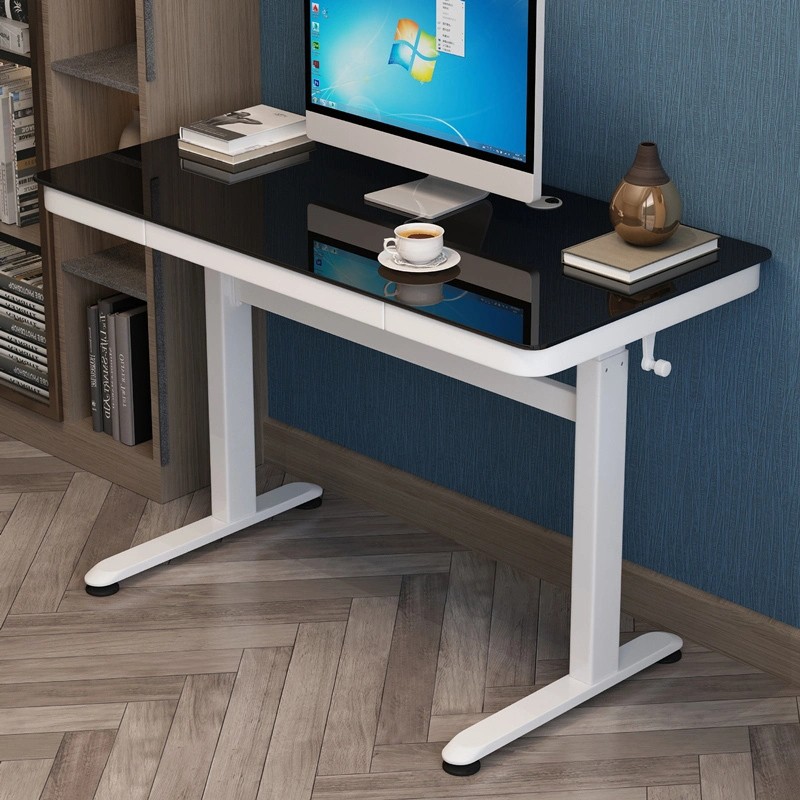 Adjustable Standing Desk Manual for Home Office